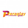 Peraplaygame