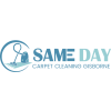 samedaycarpetcleaning